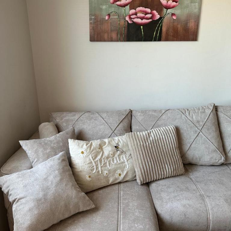 Stan u centru Niša, Obilićev venac - Apartman sa 1 Spavaćom Sobom - 17