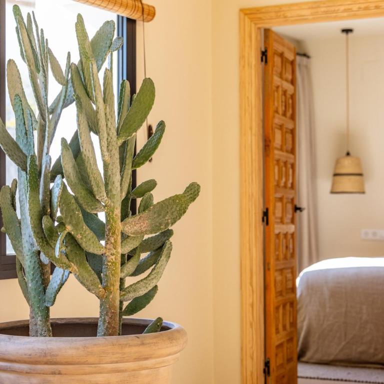 Casa Florentin Luxurious Villa in great location - Villa - 48