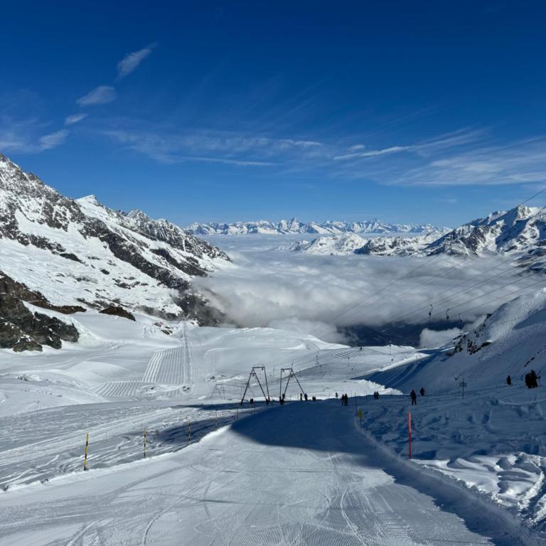 Mountain Bliss Duplex - Saas Fee - Apartment - 13