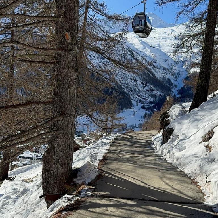 Mountain Bliss Duplex - Saas Fee - Apartment - 10