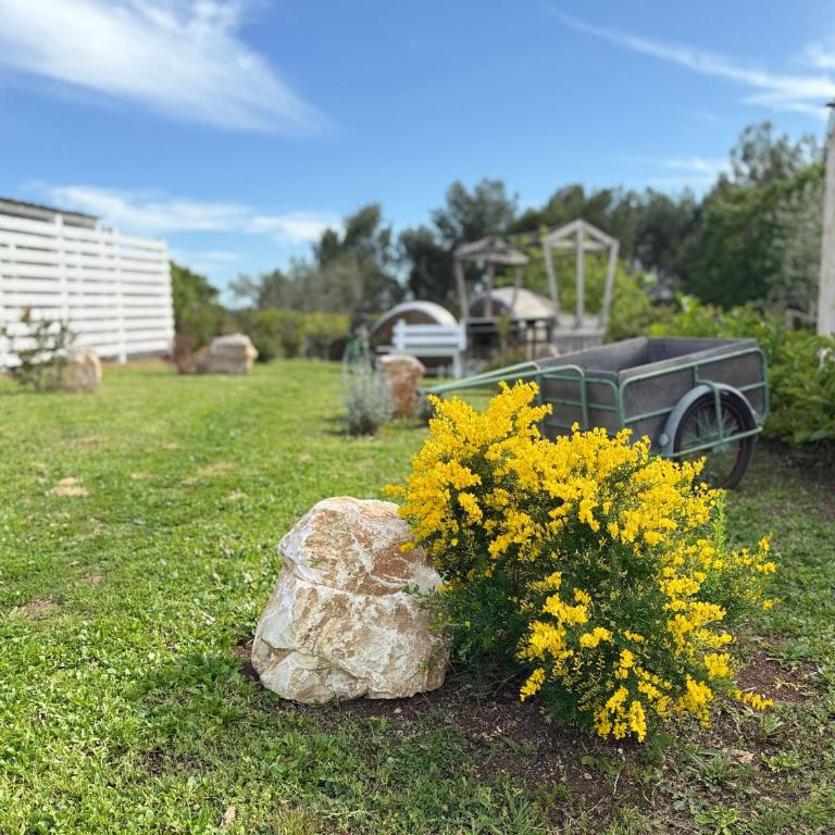 Grano Arso Appartamento Turistico - Casa con 1 Camera da Letto - 22