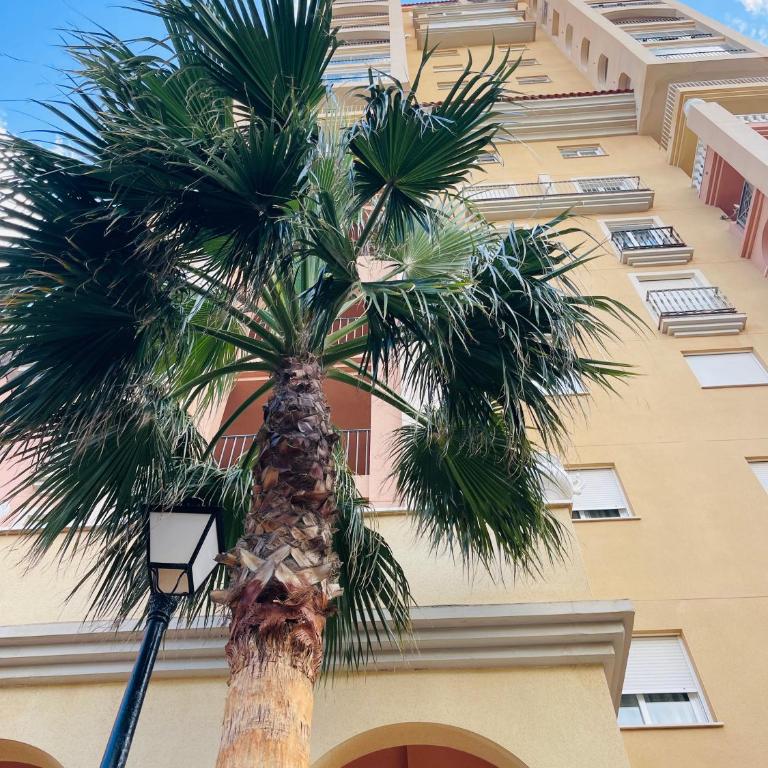 Klebis Holiday Torrevieja - Two-Bedroom Apartment - 10