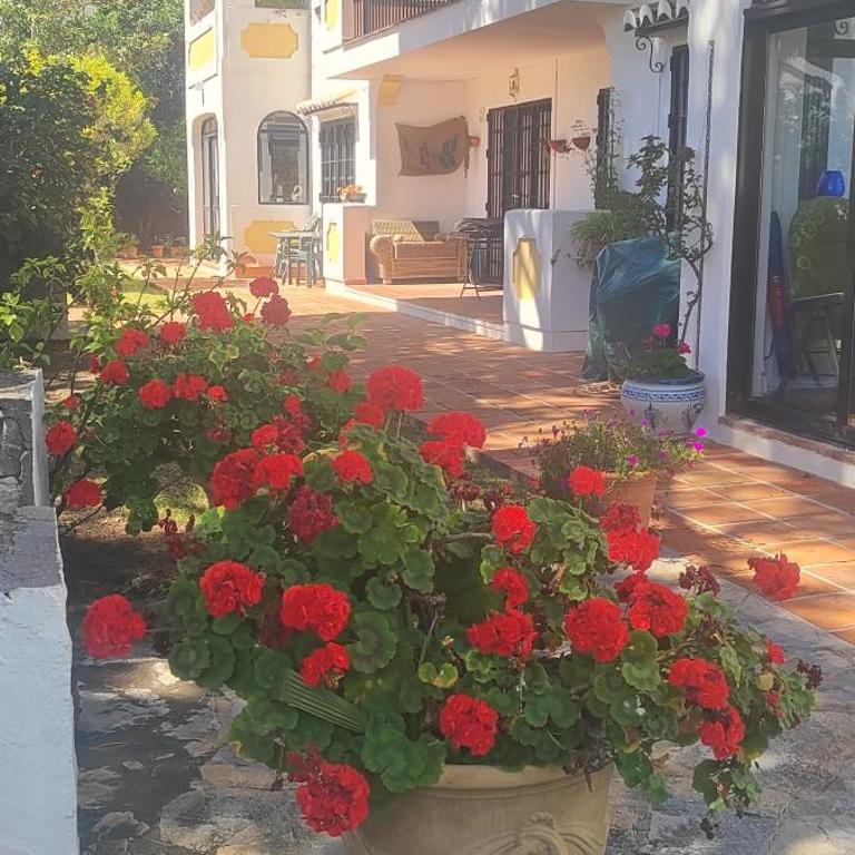 Las Acacias - One-Bedroom Apartment - 29