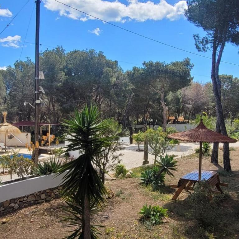 Casa Caledonia - Appartement dans villa avec jardin arboré et piscine à 500 M de la mer - Apartamento - Planta baja - 24