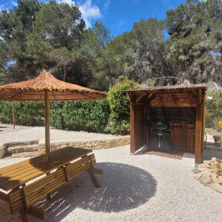 Casa Caledonia - Appartement dans villa avec jardin arboré et piscine à 500 M de la mer - Apartamento - Planta baja - 4