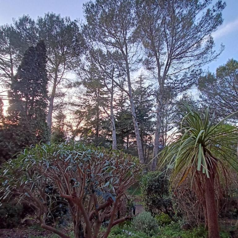 Bright & Calm 50qm - 10 min Antibes - 15 min Cannes - Pool & Tennis - Appartement 1 Chambre - 20