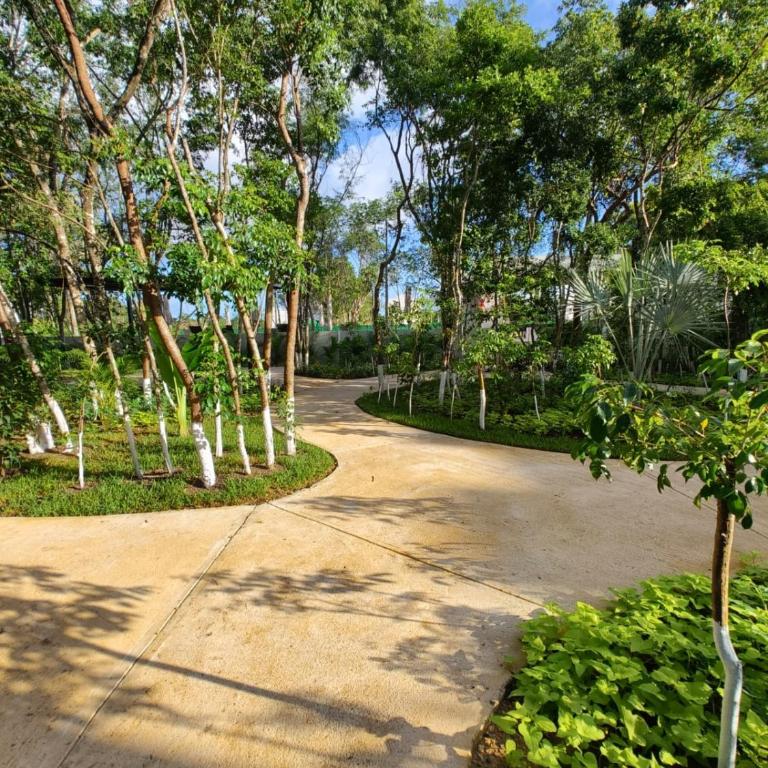 Casa Bambú, apartment in the best part of Playa del Carmen - Apartamento de 2 dormitorios - 7