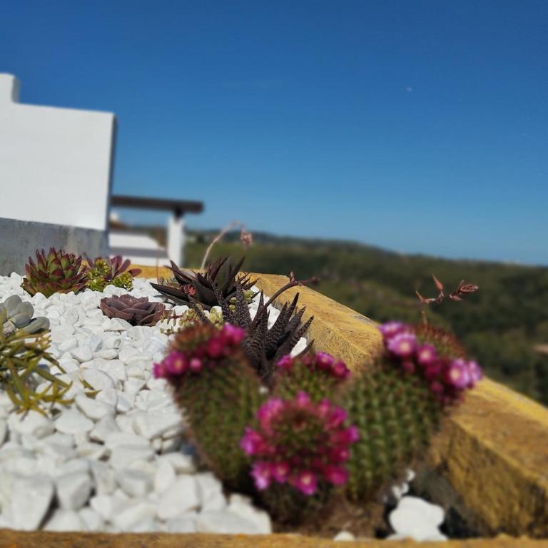 L'envoûtement andalou, à la Cala de Mijas, jacuzzi privé chauffé - Apartamento de 1 dormitorio - 16