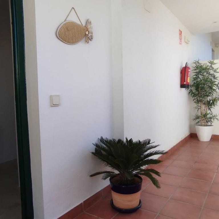 L'envoûtement andalou, à la Cala de Mijas, jacuzzi privé chauffé - Apartamento de 1 dormitorio - 17