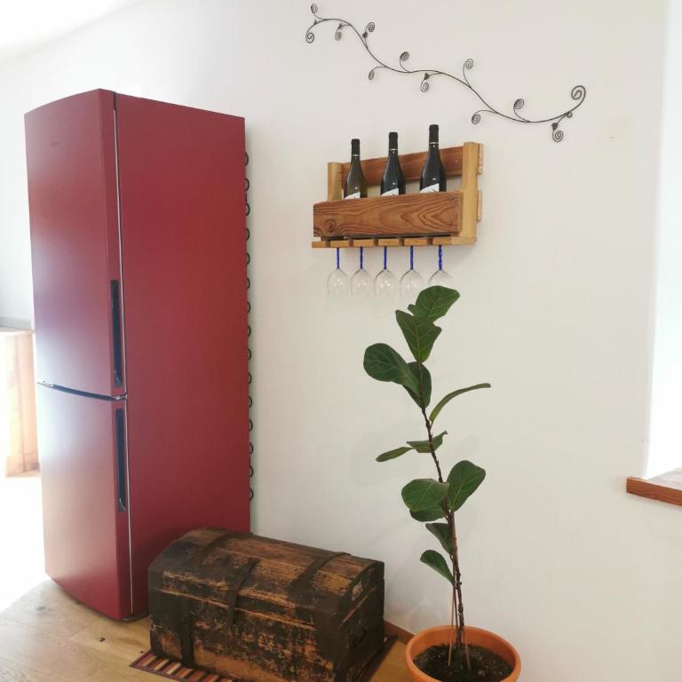 Maso Tofolaci - Apartamento de 1 dormitorio - 32