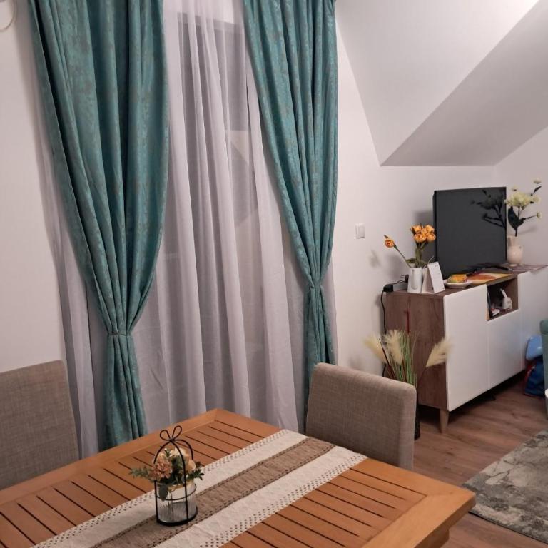 Apartman S&U - Apartman sa 1 Spavaćom Sobom - 4