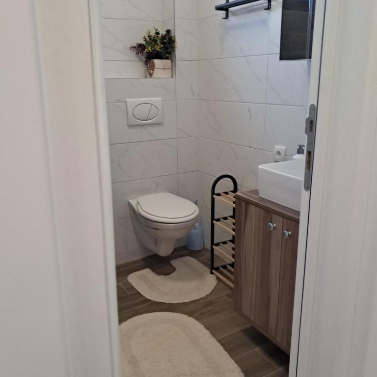 Apartman S&U - Apartman sa 1 Spavaćom Sobom - 10