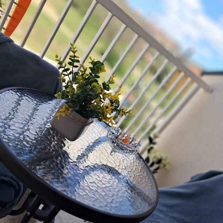 Apartman S&U - Apartman sa 1 Spavaćom Sobom - 12