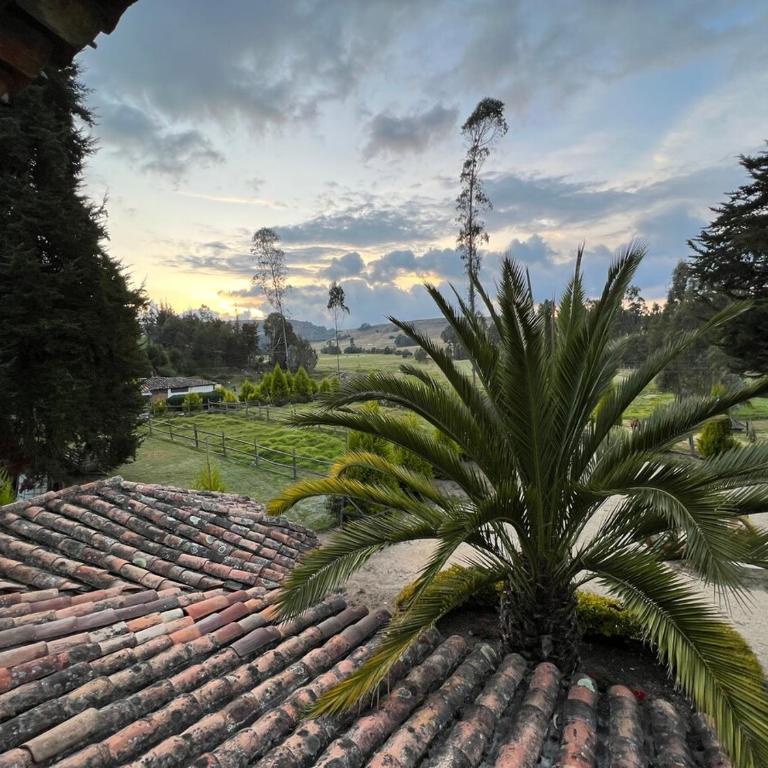 Hacienda Caminos de Pontezuela - Villa de 1 dormitorio - 61