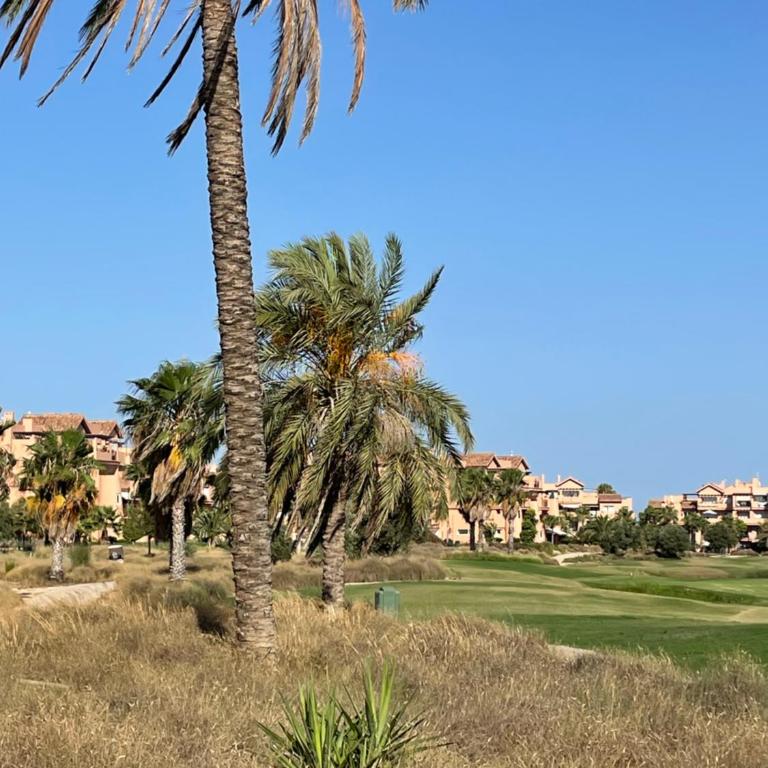 BEL APPARTEMENT REZ De CHAUSSEE AVEC DOUBLE TERRASSE FACE AU LAC ET AU GOLF - Apartamento de 2 dormitorios - 36