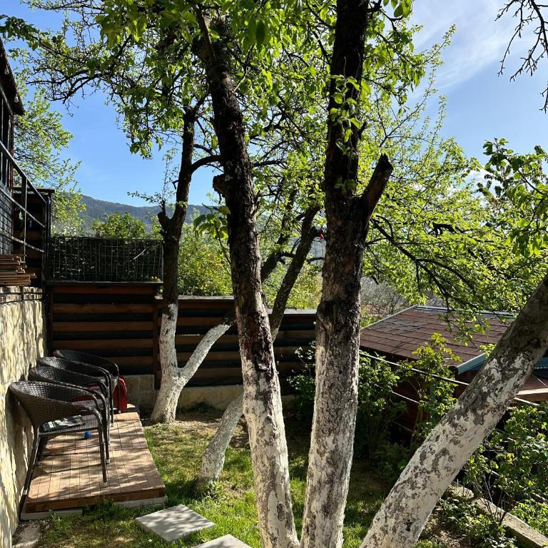 The Bungalows - Bungalow with Garden View - 8