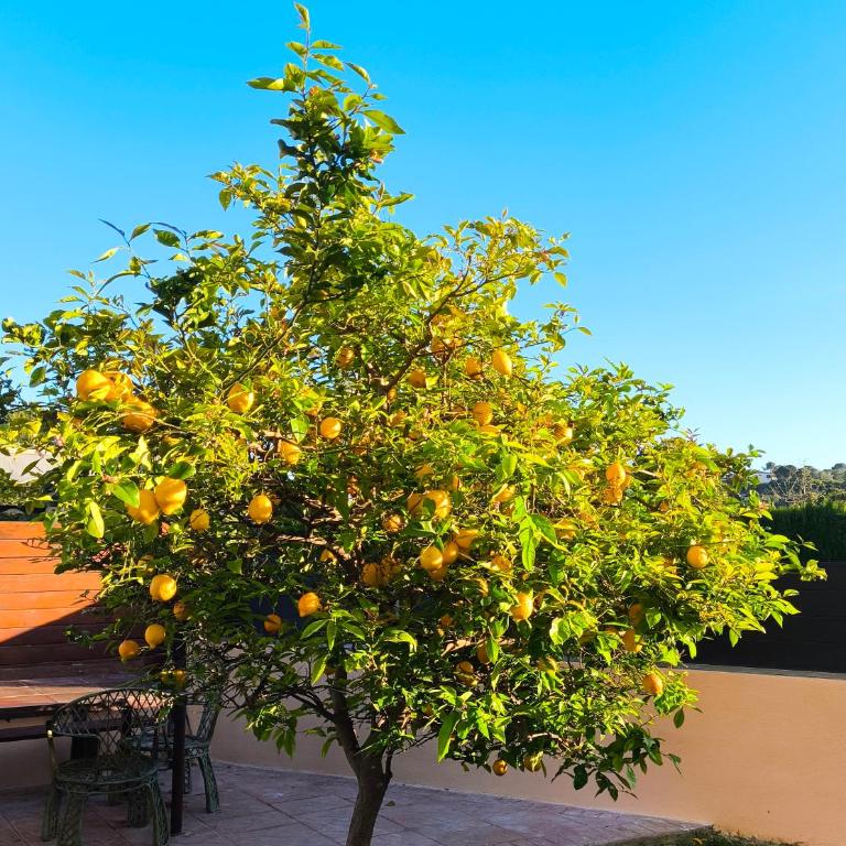 Adosado con jardín en los Xalets de Salou - Casa - 5