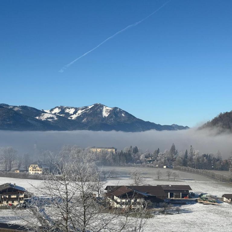 Kuscheln im Hochbett mit Seeblick - Appartement 1 Chambre - 16