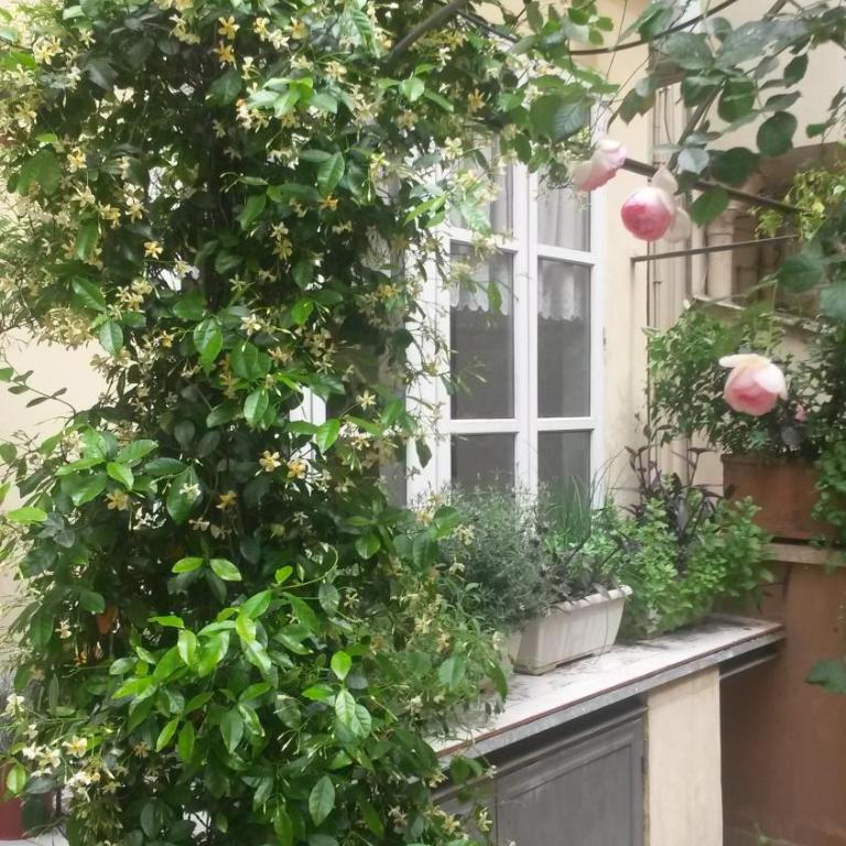 Viadelloca35 - Appartamento con Terrazza - 5