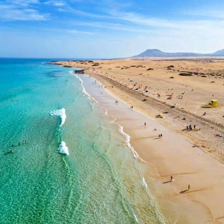 Central Corralejo with Terrace & Palm Trees 25mb wifi - Apartamento de 1 dormitorio con vistas a la piscina - 16