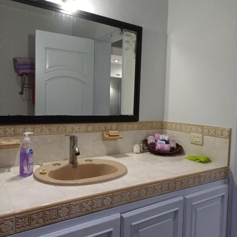 Purple Lotus Cozumel - Apartamento de 1 dormitorio - 2