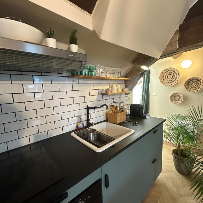 Mini loft de Charme au cœur de la ville - Apartamento de 1 dormitorio - 3