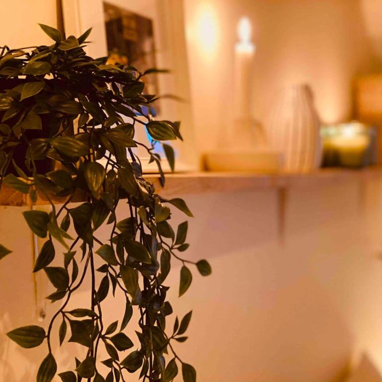 Mini loft de Charme au cœur de la ville - Apartamento de 1 dormitorio - 15