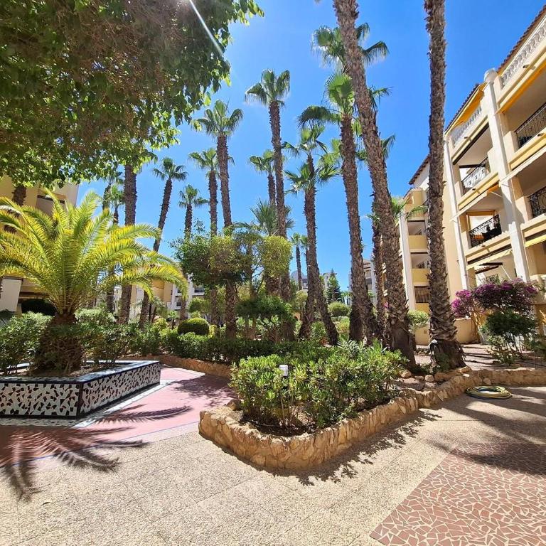 Green Oasis Apartment - near Los Locos Beach - Two-Bedroom Apartment - 35