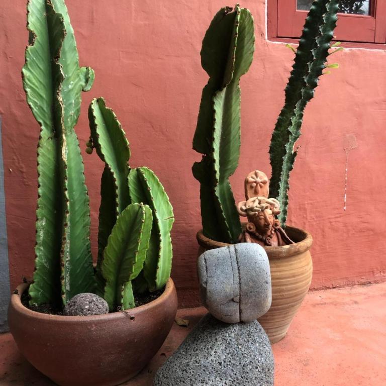Casa Gomeron - Villa de 3 dormitorios - 35