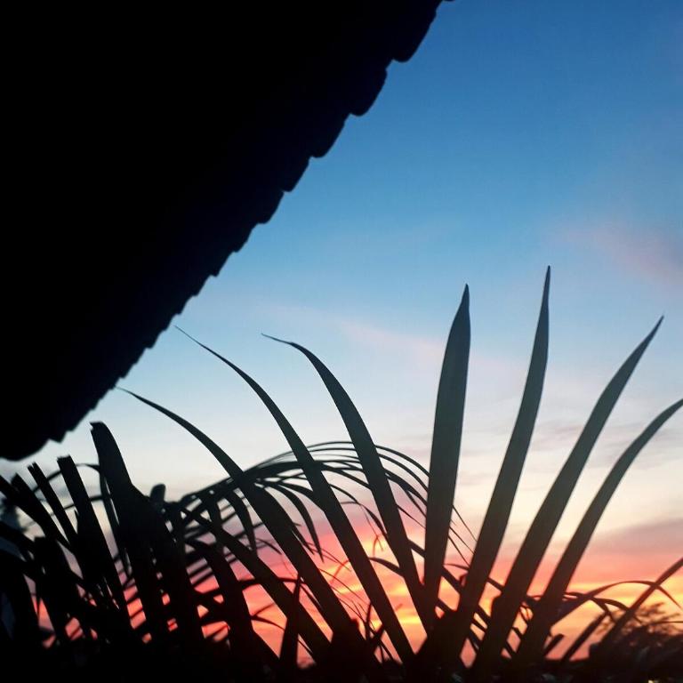 Beautiful studio Marina Vallarta - Apartamento de 1 dormitorio - 29