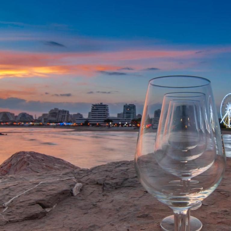 Apaloosa - Parking Wifi Plage TOP PROS SERVICES - Apartment mit 1 Schlafzimmer - 26