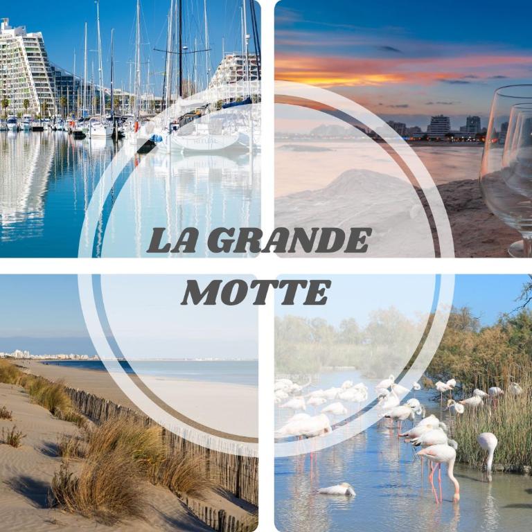Apaloosa - Parking Wifi Plage TOP PROS SERVICES - Apartment mit 1 Schlafzimmer - 20