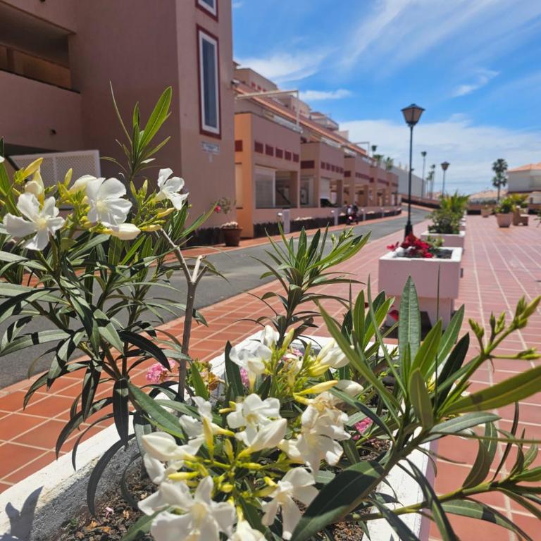The Heights 2 Bedroom apartment - Apartamento de 2 dormitorios - 40