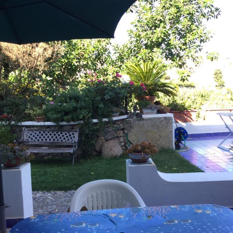 Casa Acqua Marina Ponza - Monolocale con Terrazza - 16