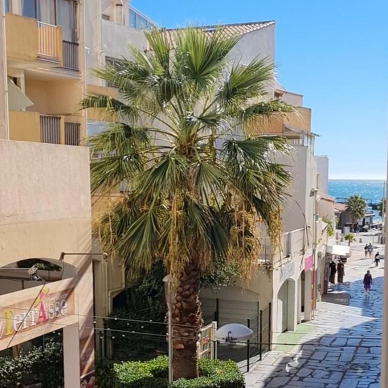 Studio chic climatisé avec vue mer et piscine à 100m plage du Môle - Studio mit Meerblick - 11