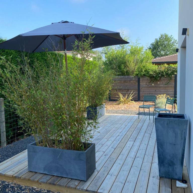 Charmant studio entre bassin et océan - Appartement 1 Chambre - 2