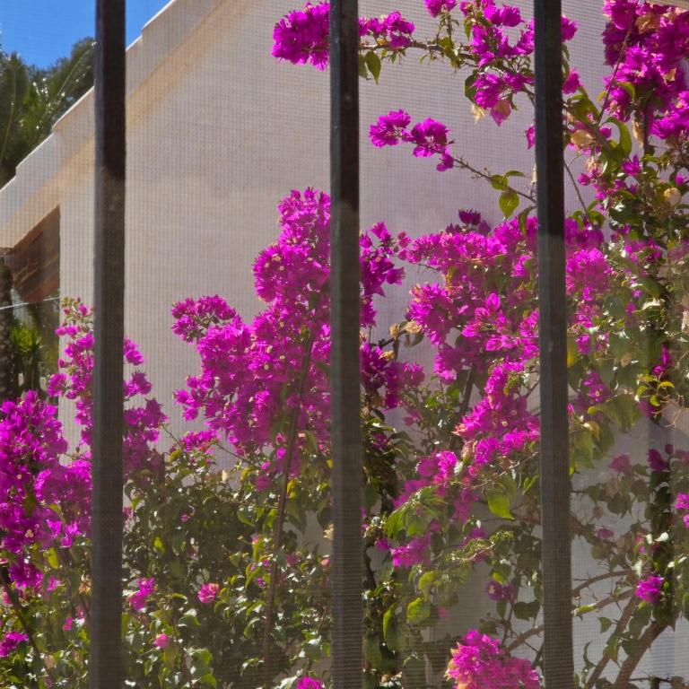 Rayo de Sol Beautiful bungalow with sea view - Two-Bedroom Villa - 46