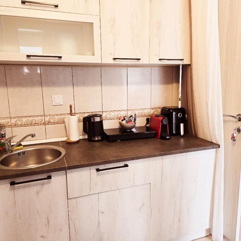 Apartments Nikčević - Apartman sa Pogledom na Planinu - 21