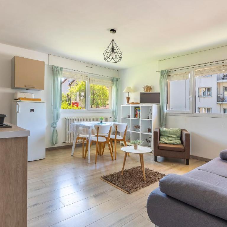 Appart cosy Annecy parking et vélos gratuit - Apartamento de 1 dormitorio - 4