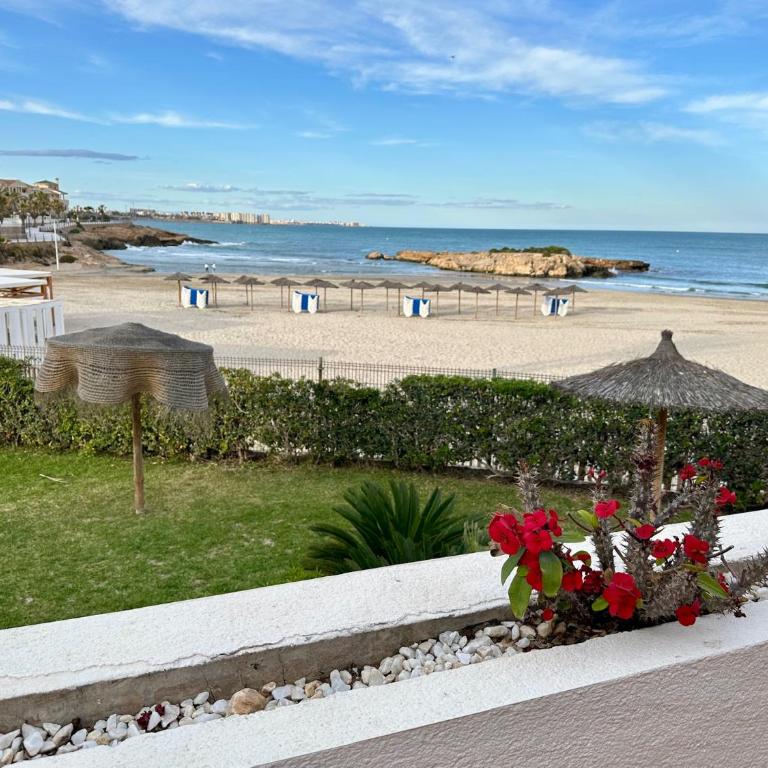 Cabo Roig El velero - Apartamento de 1 dormitorio - 1