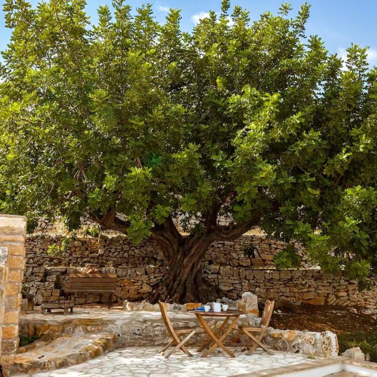 Trullo CalaLuna - Villa con Vista Mare - 33