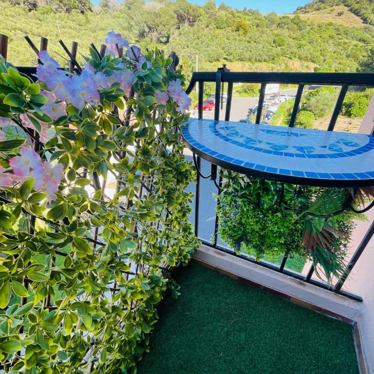 F2 à Collioure avec piscine et tennis - Appartement avec Balcon - 27