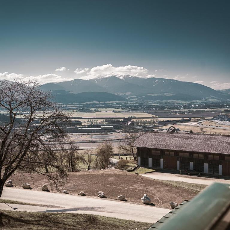 Haus Dietrich am Red Bull Ring - Appartement avec Balcon - 15
