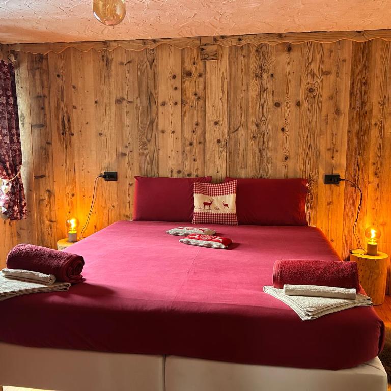 Maison Rongier Mountain apartment COGNE Centro - Appartamento con 2 Camere da Letto - 13