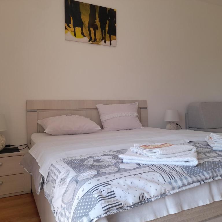 Apartment Milica - Standardni Apartman - 7