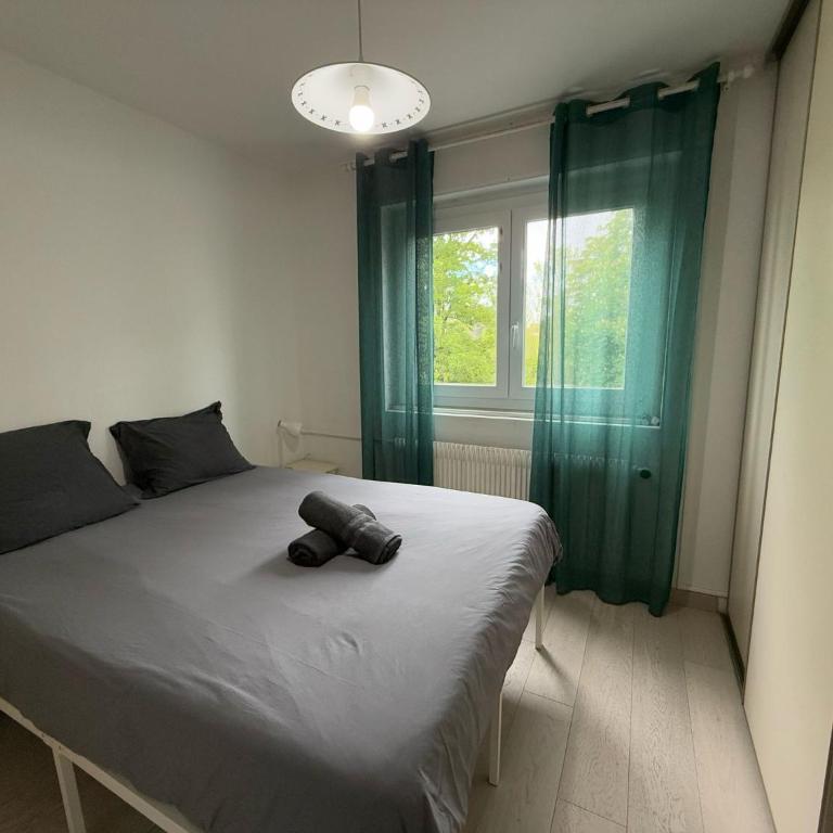 M057 Joli T3 proche de la frontière - Appartement - 2