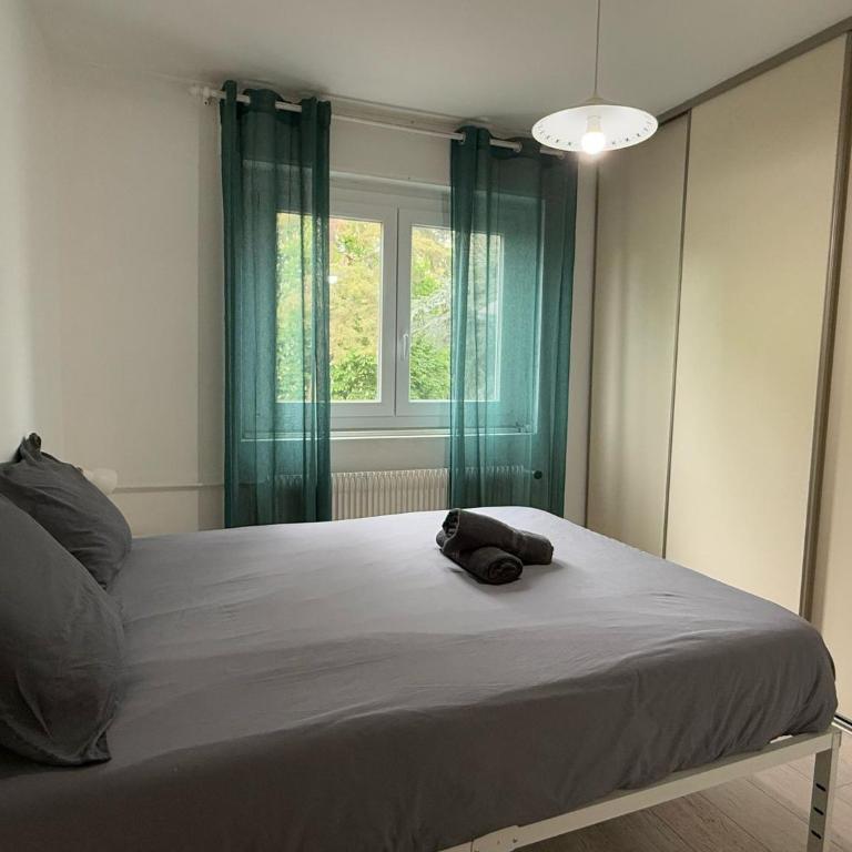 M057 Joli T3 proche de la frontière - Appartement - 3