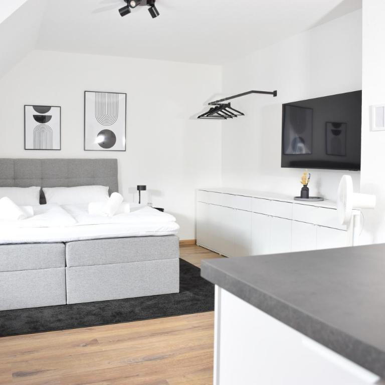 Studio 12 - Modern - Zentral - Küche - Appartamento Monolocale con Letto King-Size - 4