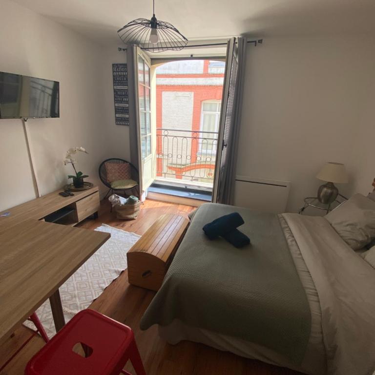 Chez Renata (Hyper centre) - Appartement 1 Chambre - 2