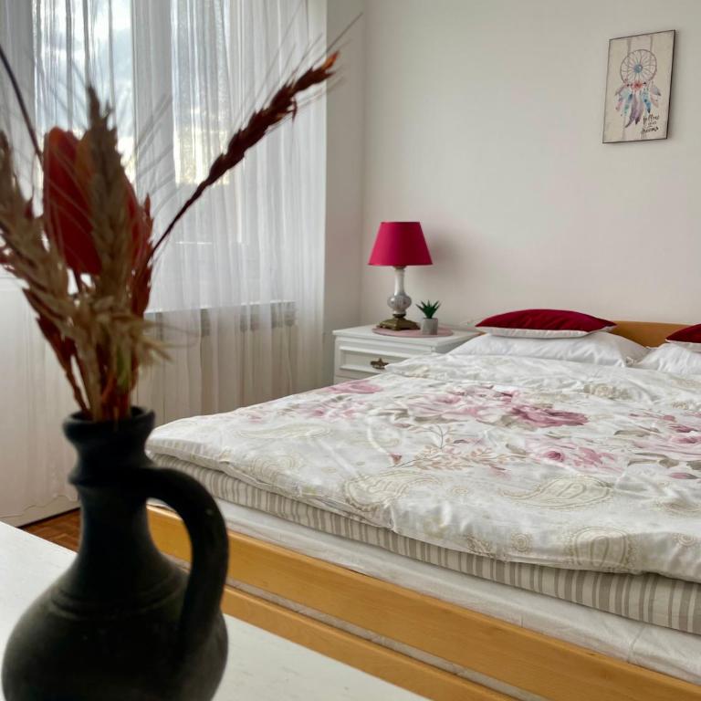 Apartman Maja - Apartman sa Balkonom - 13